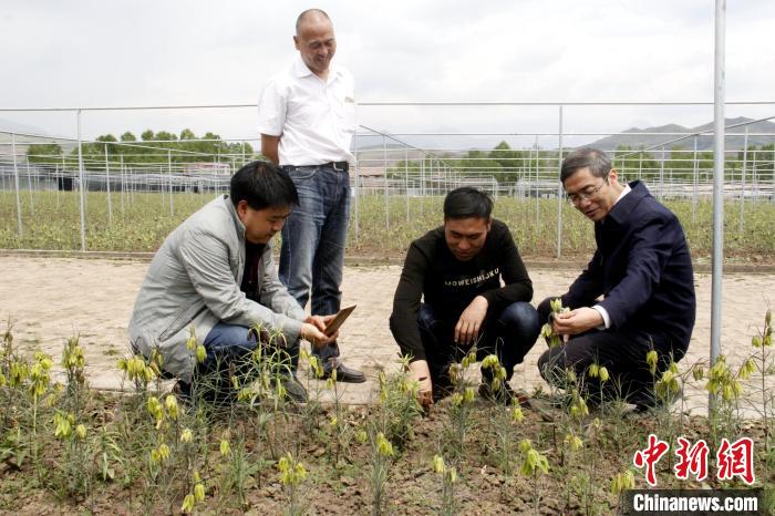 澳门资料大全免费网点澳门五号,动态词语解释落实_娱乐版305.210